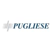 Logo Pugliese Industria Meccanica Srl
