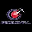 Logo Geosurvey Srl