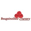 Logo Boungainvillea Nursery Di Isgro' Giacomo