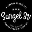Logo Surgel 3V Società A Responsablita' Limitata