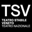 Logo Fondazione Teatro Stabile Del Veneto Carlo Goldoni - Ufficio Per La Transizione Al Digitale
