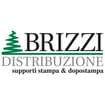 Logo Brizzi Distribuzione Italia Spa