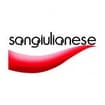 Logo Sangiulianese Traslochi Srl