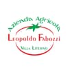 Logo Fabozzi Leopoldo
