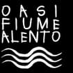Logo Cilento Servizi Società Cooperativa
