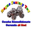 Logo Regno Fantasy Toys Srls