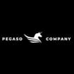 Logo Pegaso Srl