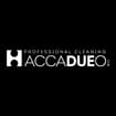 Logo Accadueo Srl