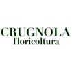 Logo Floricoltura Crugnola Di Crugnola Enrico & C. S.n.c.