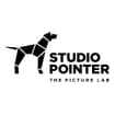 Logo Studio Pointer Srl