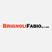Logo Brignoli Fabio & C. Snc