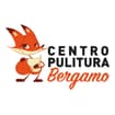 Logo Centro Pulitura Bergamo Di Narisi Giuseppe & C. S.n.c.