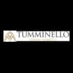 Logo Auto Pronta Di Tumminello Giovanni
