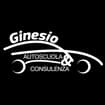 Logo Autoscuola Ginesio Di Porcari Massimo