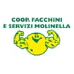 Logo Cooperativa Facchini E Servizi Molinella - Società Cooperativa