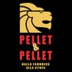 Logo Pellet&Pellet Srl