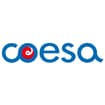 Logo Coesa Società Cooperativa Sociale Impresa Sociale