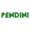 Logo Pendini Srl