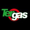 Logo Tergas Srl