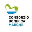 Logo Bonifica Marche Service Srl