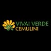 Logo Verde Cemulini Srl