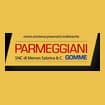 Logo Parmeggiani S.n.c. Di Menon Sabrina & C.