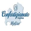 Logo Confartigianato Imprese Molise Servizi Srl