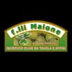Logo F.lli Maione Di Maione Sabato S.a.s.