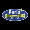 Logo Perla Pneumatici Siena Srl