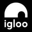 Logo Igloo Srl