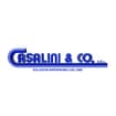 Logo Casalini & Co. Srl