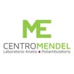 Logo Mendel Srl