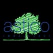 Logo Astico Imballaggi Srl