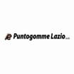 Logo Puntogomme Lazio Srl