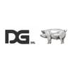 Logo Dg Srl