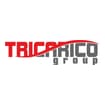 Logo Tricarico Group Srl