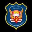 Logo Union Security Spa