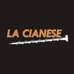 Logo La Cianese Srl