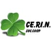 Logo Ce.ri.n. Centro Rigenerazione Nastri Società Cooperativa