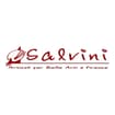 Logo Salvini Gilberto