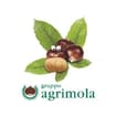 Logo Agrimola Spa