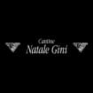 Logo Gins Srl