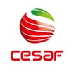 Logo Cesaf Srl