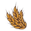 Logo Le Bonta' Del Grano Srl