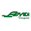Logo Emidi Viaggi Srl