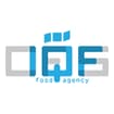 Logo I.q.f. Srl