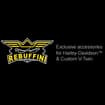 Logo Rebuffini Performance Srl