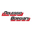 Logo Borgiani Graziano