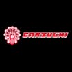 Logo Carsughi Impianti Srl