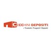 Logo Cecchini Depositi E Traslochi Srl